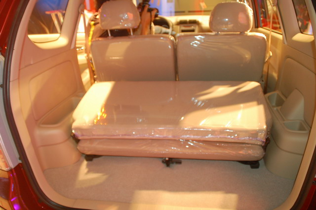 ɭ������ͼƬ