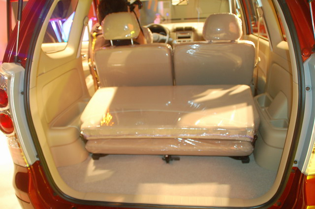 ɭ������ͼƬ