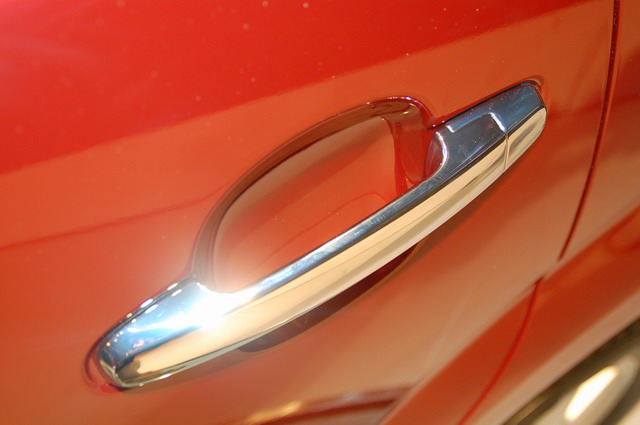 ɭ�����ͼƬ