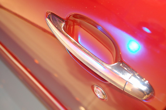 ɭ�����ͼƬ