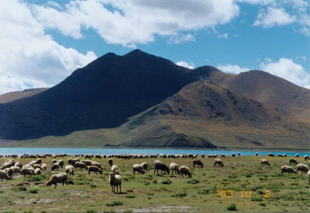 ��������������֮�û