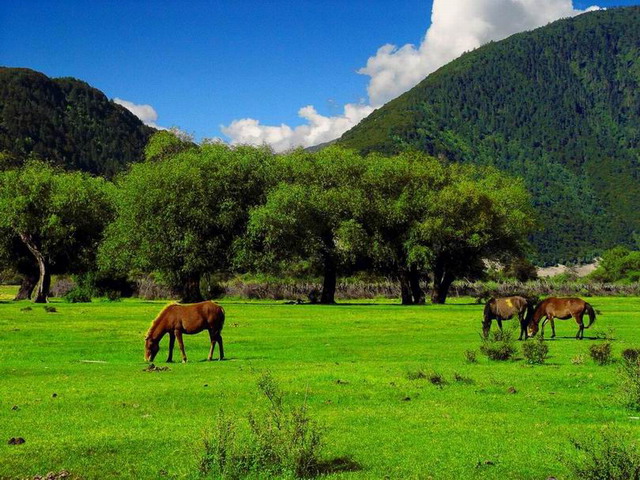 ��������������֮�û