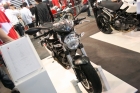 Monster 696