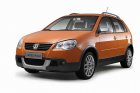CrossPolo