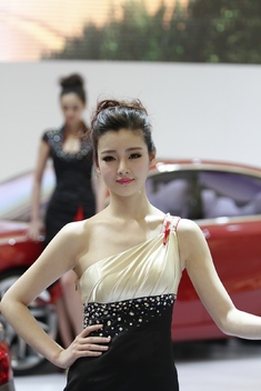 2011上海车展明星脸车模_2