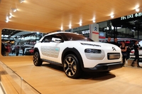 C4 Cactus