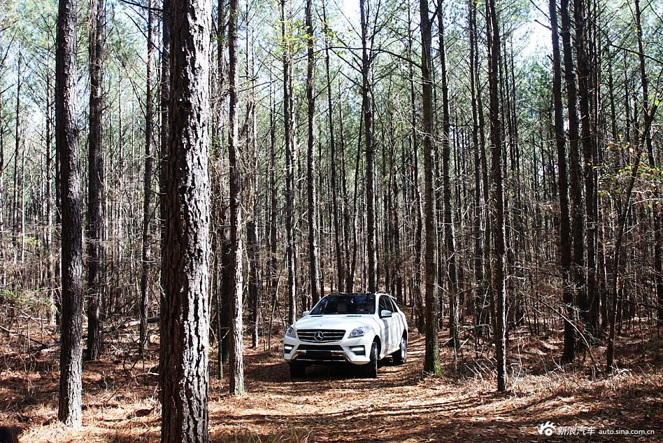 全新奔驰m级_奔驰ml级图片15100353_汽车图