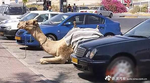 高手在民间,谁说只有汽车才能震?