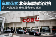 北美车展探馆花絮