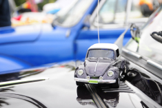 波罗的海岸虫迷狂欢 最美沙滩甲壳虫集结