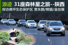 斯巴鲁31座森林星之旅--陕西佛坪