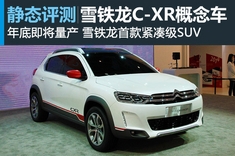 即将量产 新浪汽车静态图解雪铁龙C-XR