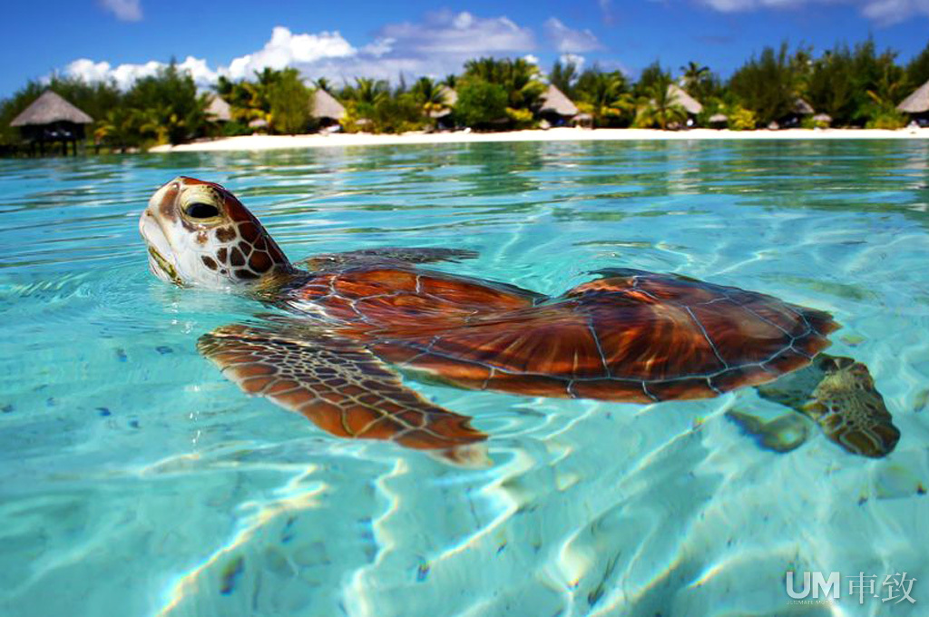 大溪地波拉波拉岛(23\/23)