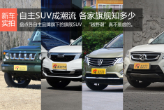 盘点自主各家SUV.“越野潮”真不是虚的
