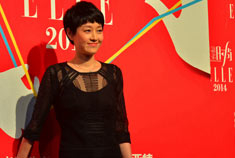 广汽菲亚特华谊之夜  马伊琍、徐峥、宋承宪出席