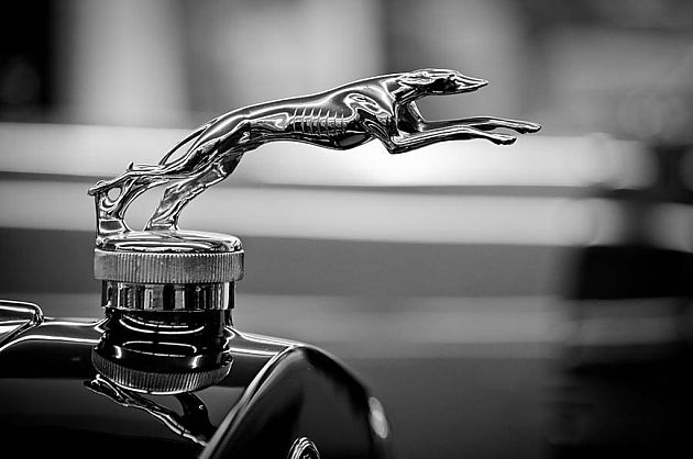 历史的见证 汽车车标的演进