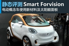 新浪汽车静态评测Smart Forvision