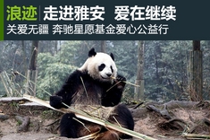 走进雅安，爱在继续