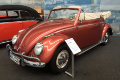 大众博物馆里的“虫子们”