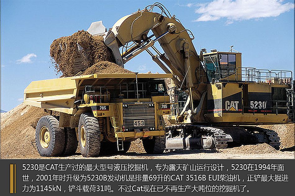 世界挖掘机排名_世界最大的挖掘机图片(3)