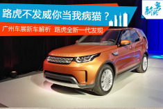 路虎不发威你当我病猫 全新一代发现解析