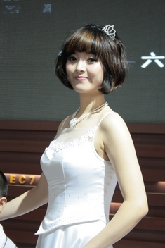 2010沈阳汽博会美女模特图