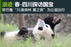 四川探访国宝 斯巴鲁为公益远行