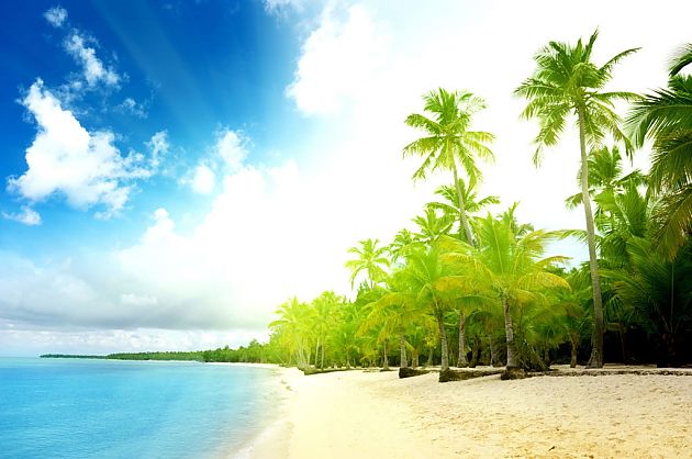 富豪的乐园 收藏家的天堂 棕榈滩拍卖会