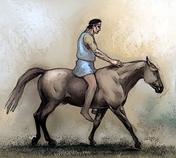 退化亦进化 互联网时代的汽车变革期