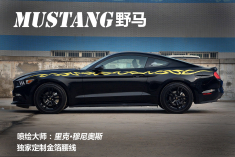 狂野出世 实拍金箔腰线版野马