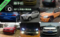 8月随手拍精选图片