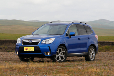 更具运动范 森林人特装纪念版