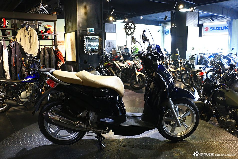 文艺绵羊阿普利亚圣甲虫200实拍组图欣赏