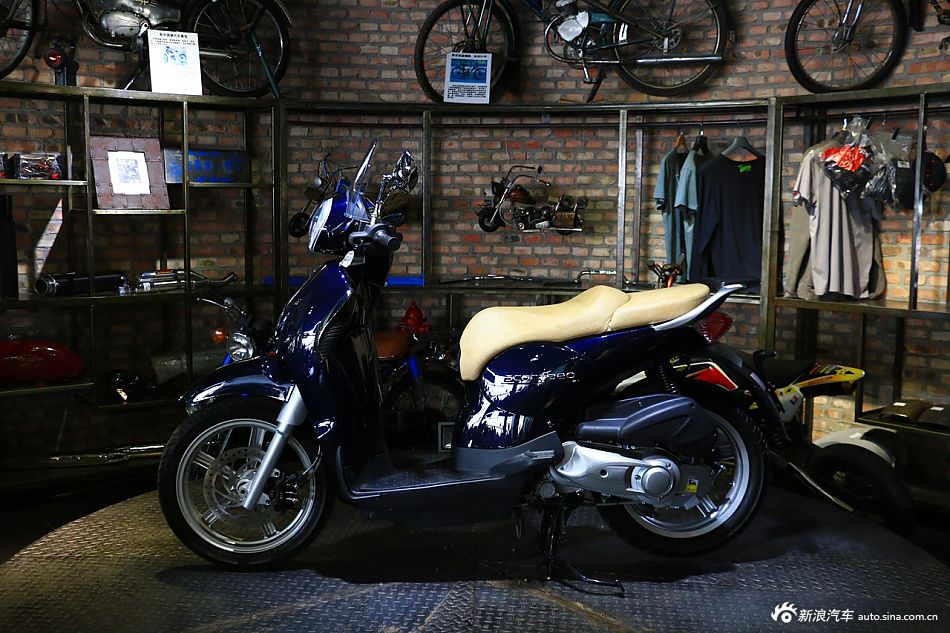 文艺绵羊阿普利亚圣甲虫200实拍组图欣赏