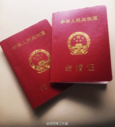 张雨绮勇敢再婚 前夫和车都不要