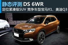 新浪汽车静态评测DS 6WR