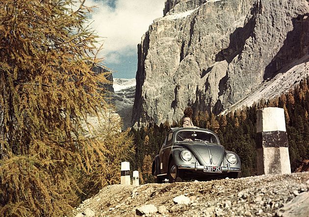 它是一个Bug！偶像了四分之三世纪的甲壳虫