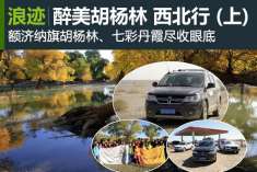 醉美胡杨林 金秋10月西北行 (上)