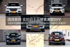 国货系列 实拍自主品牌紧凑型SUV