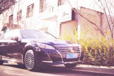 品味醇茶 自居儒商