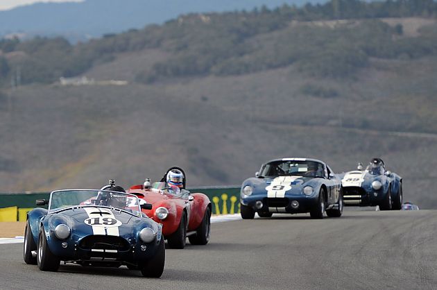 眼镜蛇长龙图集 难得一见的盛况