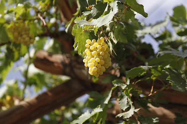 DAY6 吐鲁番-乌鲁木齐