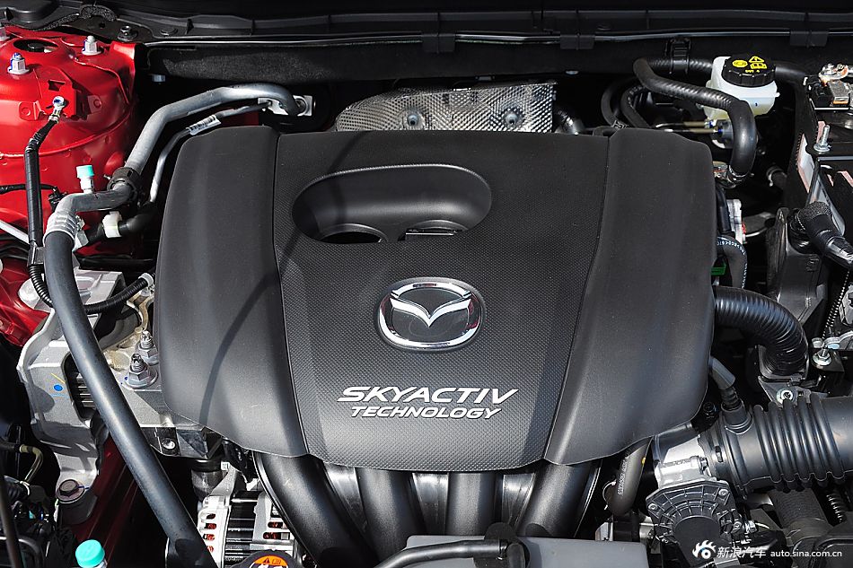 舍不得孩子套不住狼 光棍节脱单就靠它