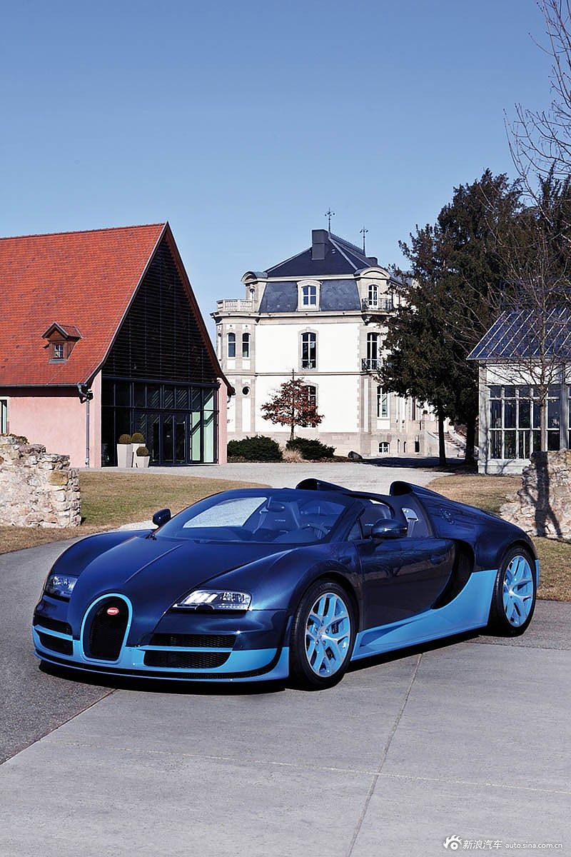 布加迪grand sport vitesse-新浪汽车