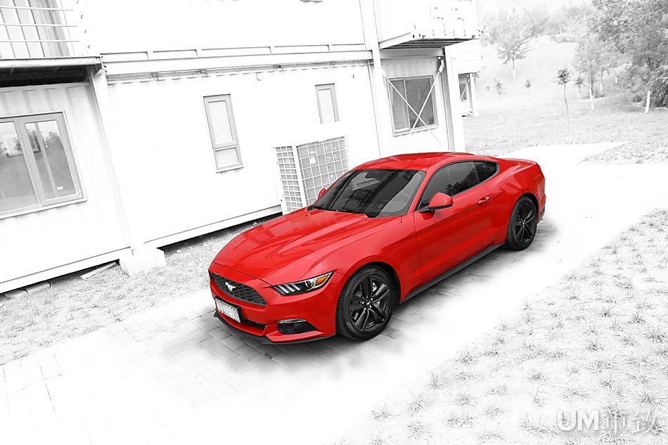 烈骥驯良 2015款2.3T福特Mustang