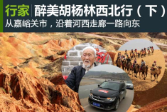 醉美胡杨林 金秋10月西北行 (下)