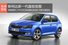 巴黎车展首发 斯柯达发布新一代晶锐官图