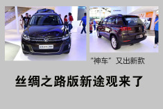 “神车”又出新款 丝绸之路版途观