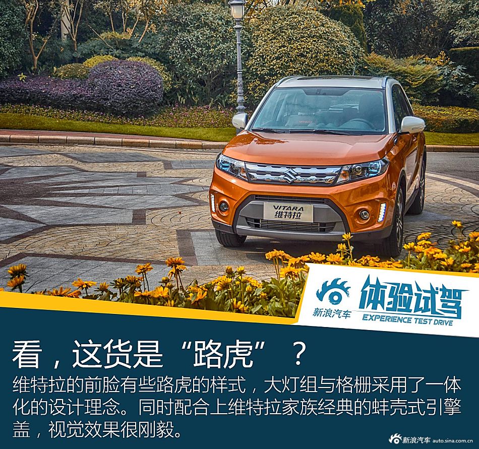 维特拉