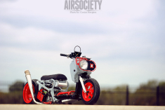 本田ZOOMER百变排骨羊改装图赏